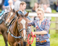 Pony Race 3 (1 of 56).jpg