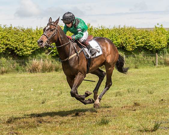 Pony Race 2  (10 of 33).jpg