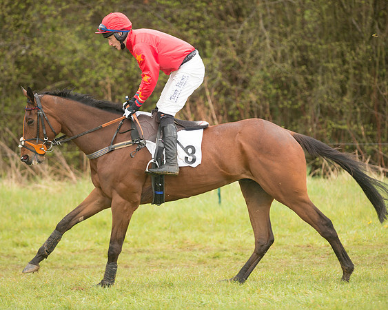Race 5 - Open Maiden (61 of 147).jpg