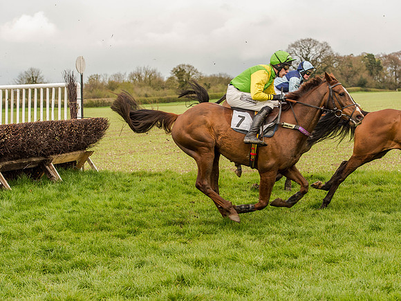 Race 1 - Confined Hunts (80 of 118).jpg
