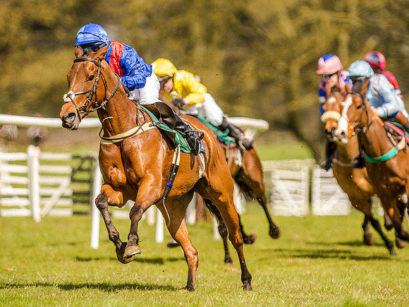 Pony Races (110 of 127).jpg