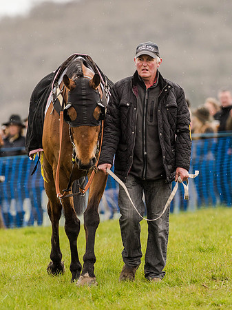 Race 2 - PPORA Club Members Conditions 2m5f (33 of 137).jpg