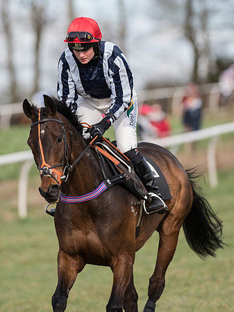 Race 5 - Restricted Race (44 of 120).jpg