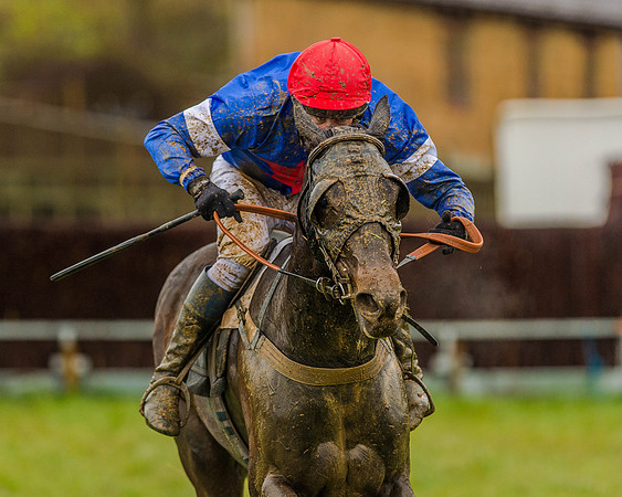 Race 5 - Restricted Race (106 of 146).jpg