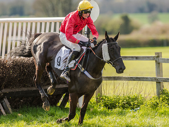 Race 5 - The Southern Grand national (56 of 96).jpg
