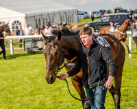 Race 6 - Open Maiden Race (5 of 176).jpg