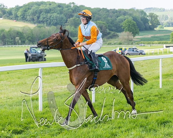 Race 4 - PPORA Novice Riders Final  (92 of 362)