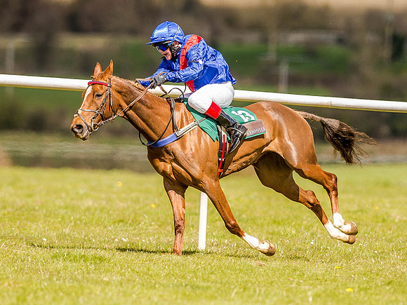 Pony Races (64 of 127).jpg