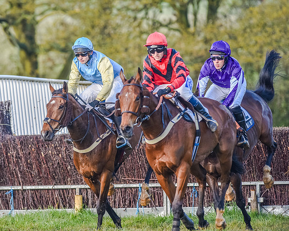 Race 7 - PPORA Club Members for Novice Riders (34 of 81).jpg