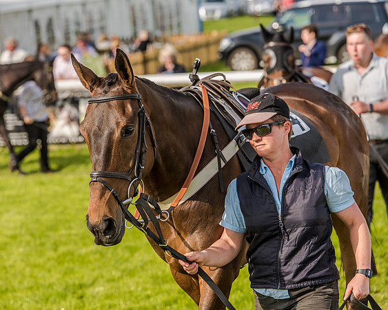 Race 6 - Open Maiden Race (7 of 176).jpg