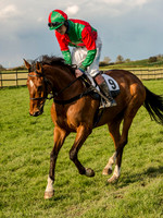 Race 7 - The Restricted Race (13 of 42).jpg