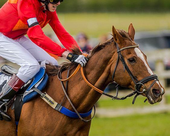 Pony Race 3 (64 of 78).jpg