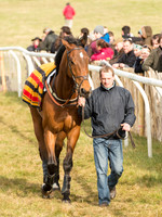Race 6 - Open Maiden (12 of 110).jpg