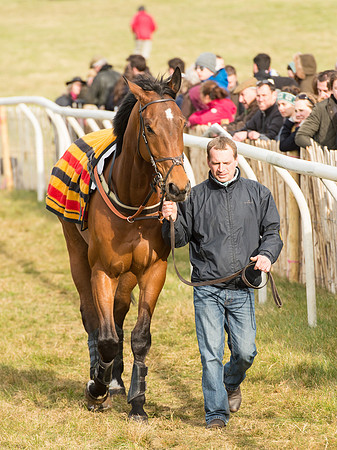 Race 6 - Open Maiden (12 of 110).jpg