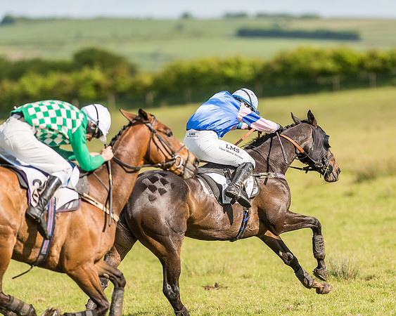 Race 6 - Open Maiden Race (68 of 71).jpg
