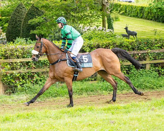 Race 5  - Novice riders (40 of 188)