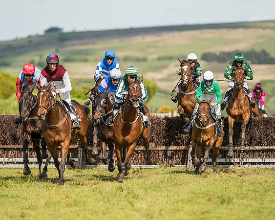 Race 6 - Open Maiden Race (53 of 71).jpg
