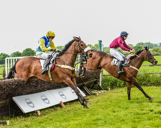 Race 2 - PPORA Members Novice Riders  (82 of 112).jpg