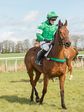 Race 2 - Confined Hunts Race (27 of 87).jpg
