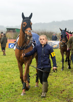 Race 5 - Open Maiden (17 of 112).jpg