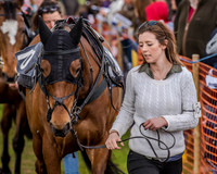 Race 1 - Intermediate (12 of 125).jpg