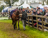 Race 5 - Open Maiden (2 of 147).jpg