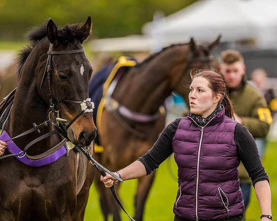 Race 2 - Open Maiden  (19 of 170).jpg