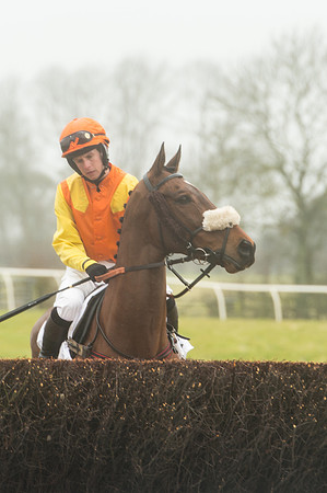 Race 1 - Confined Hunts (35 of 101).jpg