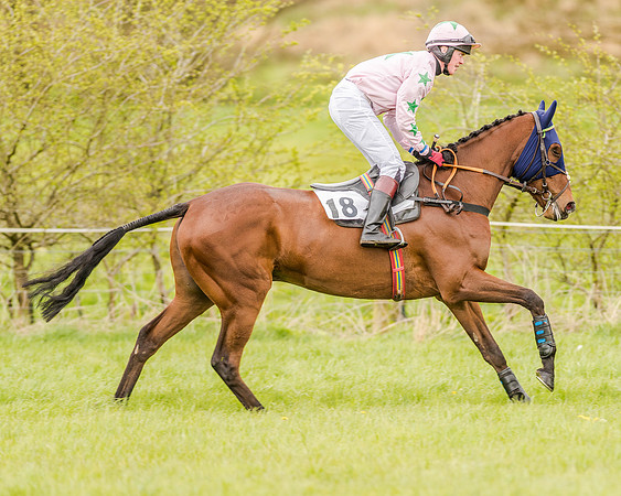 Race 2 - Open Maiden  (57 of 170).jpg