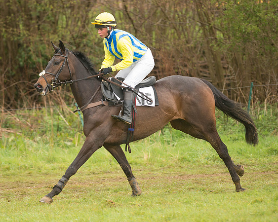 Race 5 - Open Maiden (43 of 147).jpg