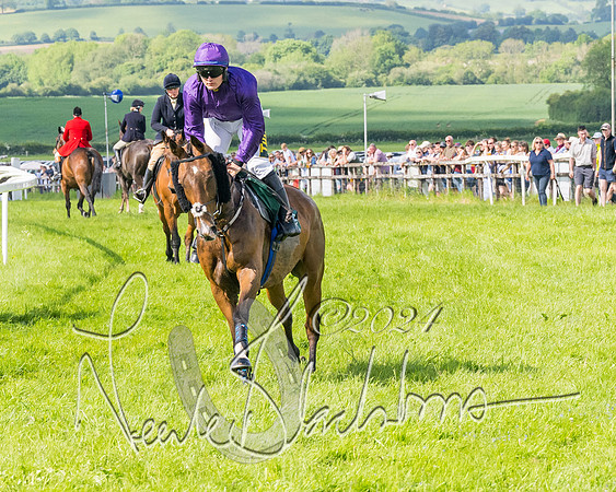 Race 4 - PPORA Novice Riders Final  (128 of 362)