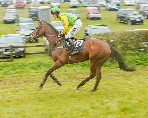 Race 5 - Restricted Race (27 of 146).jpg