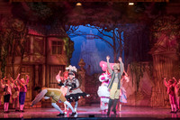 CInderella (8 of 570)