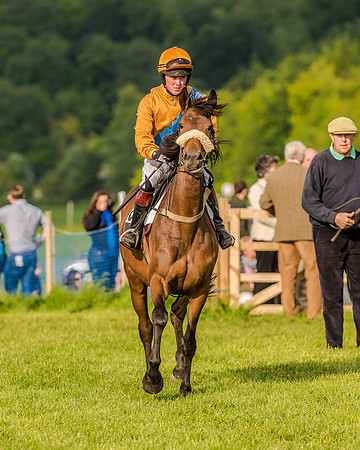 Race 7 - Div 2 - Open Maiden (55 of 163).jpg