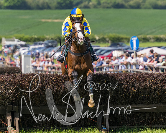 Race 2 - The Maiden  (276 of 442)