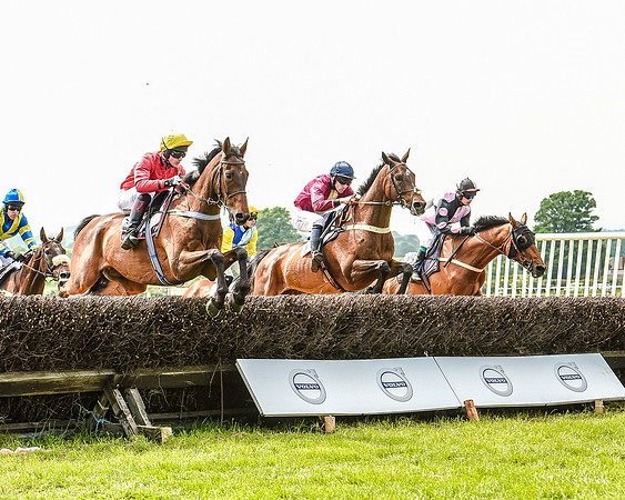 Race 2 - PPORA Members Novice Riders  (59 of 112).jpg