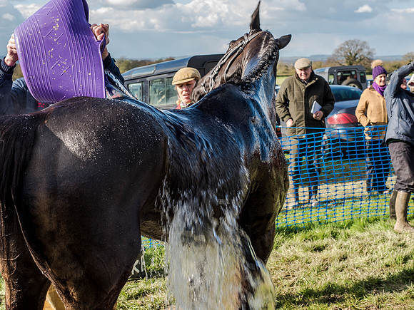 Race 5 - The Southern Grand national (87 of 96).jpg