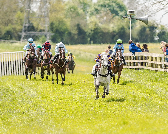 Pony Race 3 (25 of 56).jpg