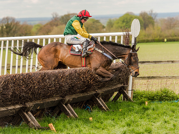 Race 1 - Confined Hunts (103 of 118).jpg