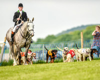Race 8  - Hound Open Race (2 of 22).jpg