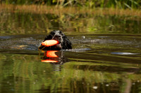 WCGB-04AUG-2013 Water Training Day  10