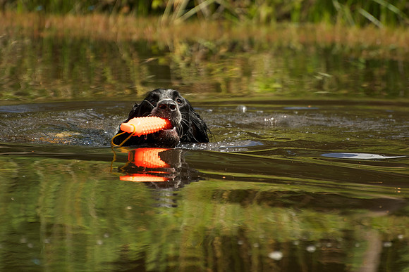 WCGB-04AUG-2013 Water Training Day  10