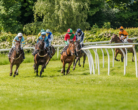 Race 3 - The Intermediate Race (43 of 97).jpg