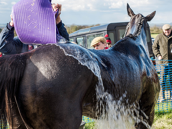 Race 5 - The Southern Grand national (88 of 96).jpg