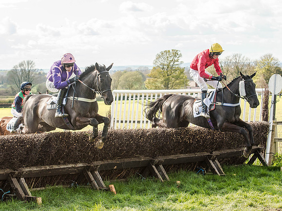 Race 5 - The Southern Grand national (34 of 96).jpg