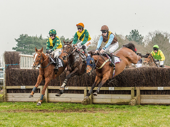 Race 5 - Open Maiden Division 2 (58 of 112).jpg
