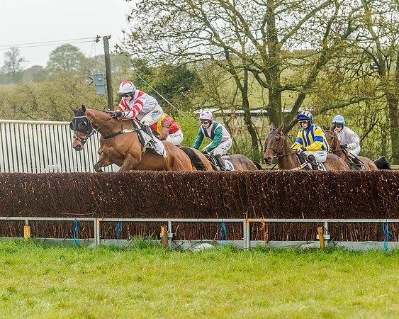 Race 5 - Restricted Race (49 of 146).jpg
