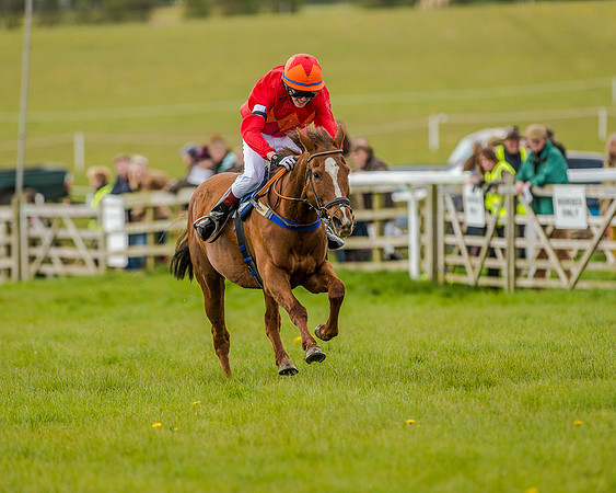 Pony Race 3 (56 of 78).jpg