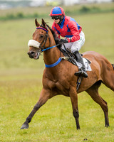 Race 2 - Open Maiden Race (19 of 80).jpg