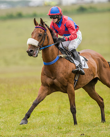 Race 2 - Open Maiden Race (19 of 80).jpg